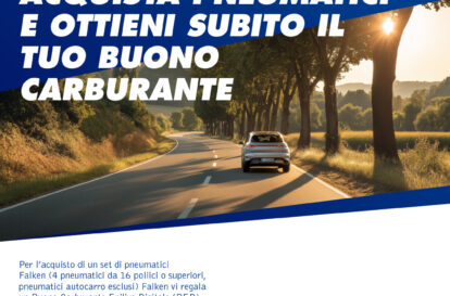 Offerta Falken